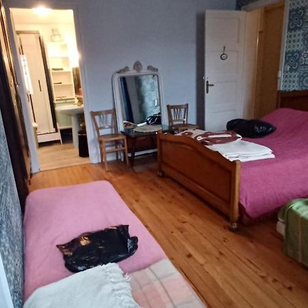 Chez Virginie - Chambre Du Bourg 卢德 外观 照片